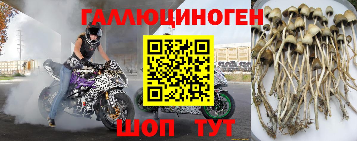 Галлюциногенные грибы Magic Shrooms Иваново