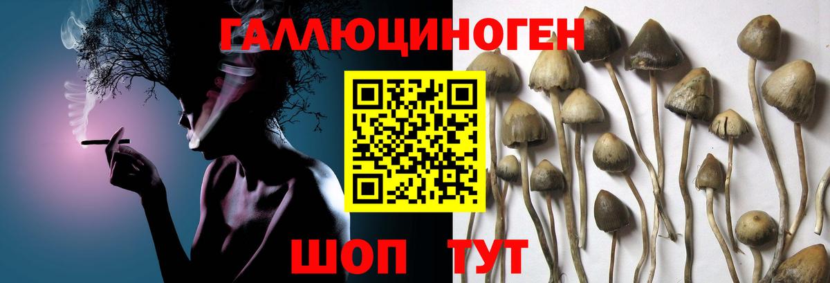 Псилоцибиновые грибы мухоморы  Вход с VPN  Иваново 